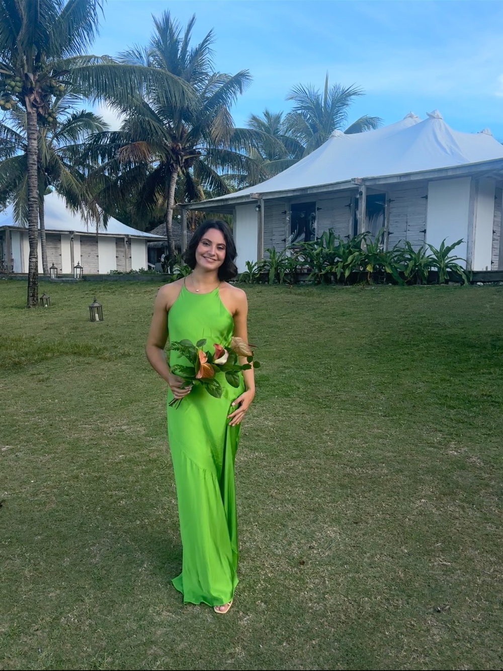 A.L.C. Lime Green Silk Halter Maxi Dress - Picture 6 of 6